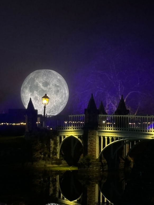 Helmingham Hall Christmas light trail